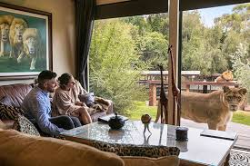 Jamala-Wildlife-Lodge