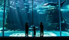 Two-Oceans-Aquarium