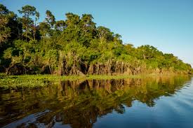 CHUCHINI-Amazon-Wildlife-Eco-Reserve-Lodge-Trinidad