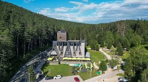 Pino-Nature-Hotel-1