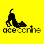 What My Business logo