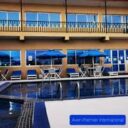 Aven Premier International