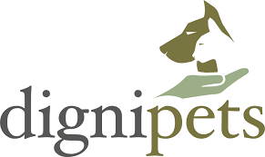 What My Business logo