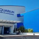 Galway Atlantaquaria, National Aquarium of Ireland