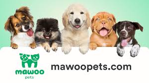Mawoo Pets