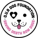O.U.R Dog Foundation