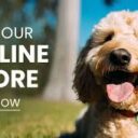 Painless Veterinarian & Online Store