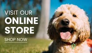 Painless Veterinarian & Online Store