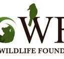Save Our Wildlife Foundation Inc