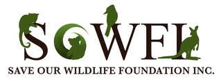What My Business logo