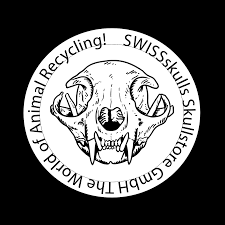 Skullstore GmbH
