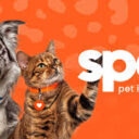 Spot Pet Insurance