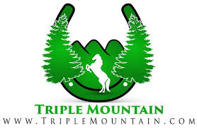 What My Business logo