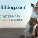 VetBilling