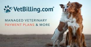 VetBilling