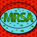 Mersa