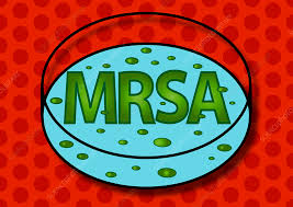 What My Business logo
