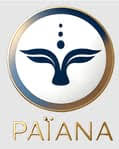 What My Business logo