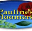 Pauline’s Bloomers