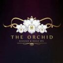 The Orchid Massage & Nails spa