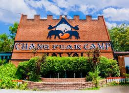 Chang Puak Elephant Camp Hat Yai 1