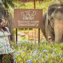 Elephant Jungle Sanctuary