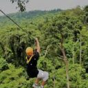 Flight Of The Gibbon