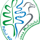 Mures Floodplain Natural Park