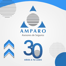 Organizacio-n-Amparo