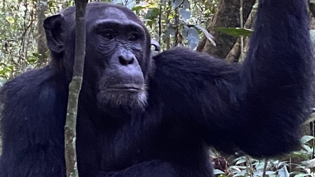 Whatsapp Image 2025 08 05 At 8 01 14 Am