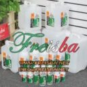 Freisba Bangladesh 2