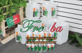 Freisba Bangladesh 2