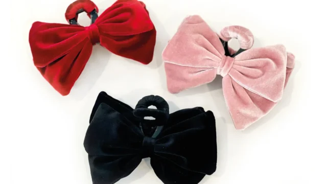 Mayan Kithir Shilpo 2