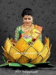 Vizag Pellipoolajada