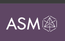 Asm